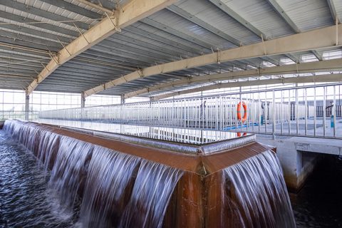 怎么保养多职能微型过滤机？